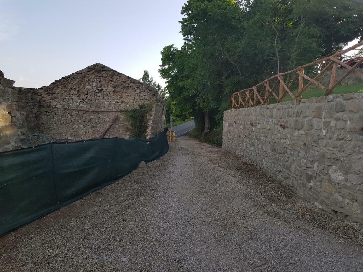 Agriturismo Podere Omomorto Pratovecchio Exterior photo